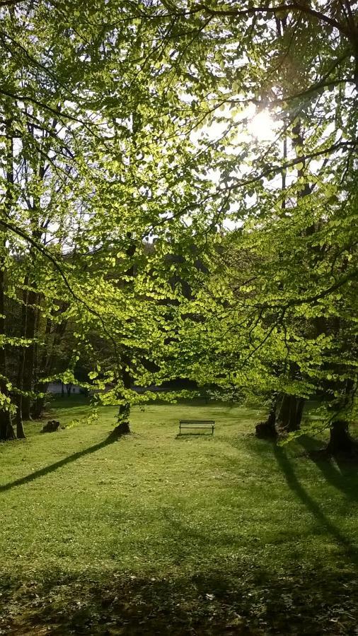 Apartma Obrh Šmarješke Toplice Exteriér fotografie